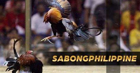 swcsite6 com live|Sabong WorldWide .